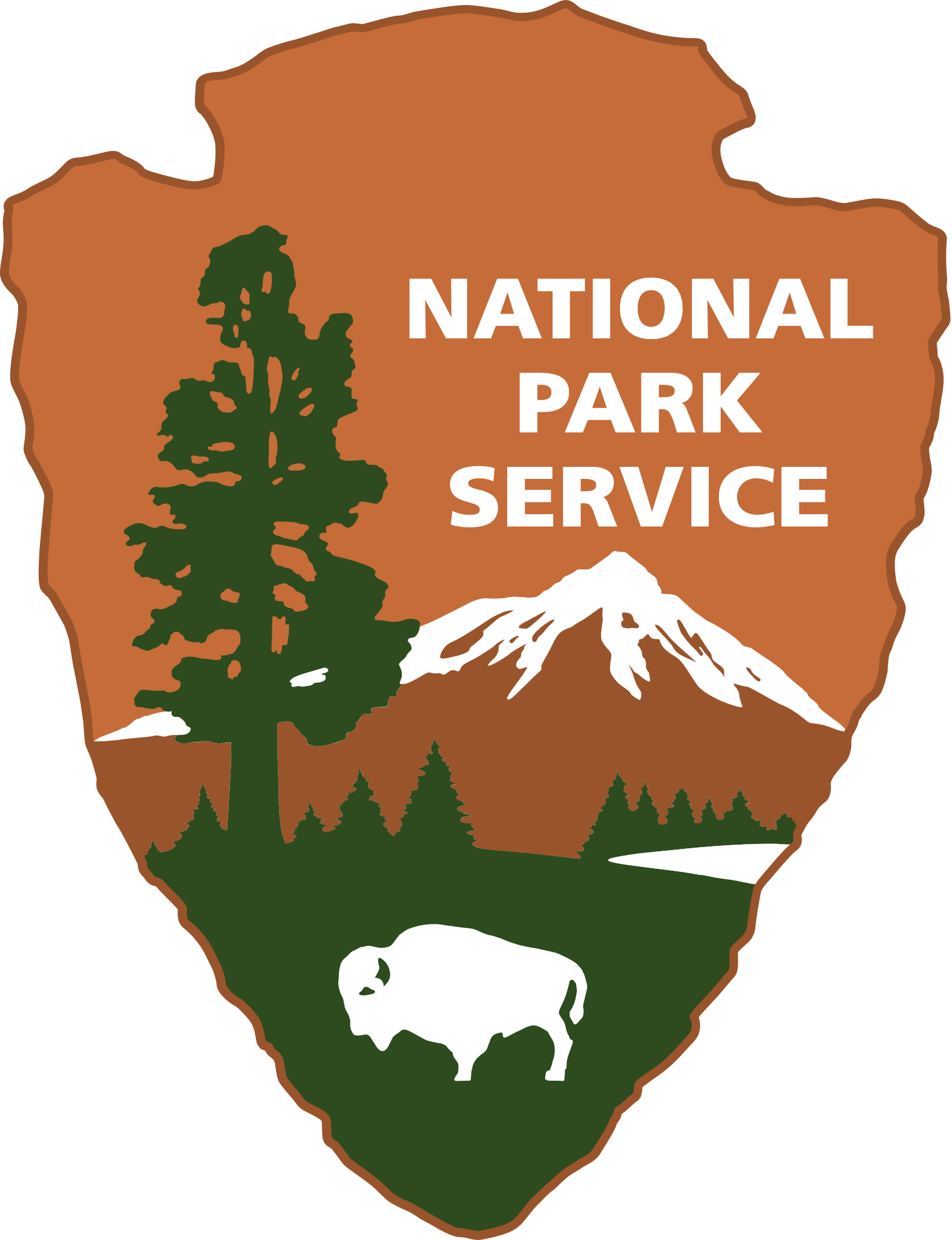 NPS Case Management